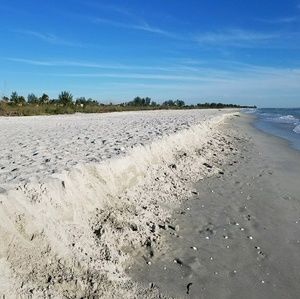 Meet your Posher, Carole